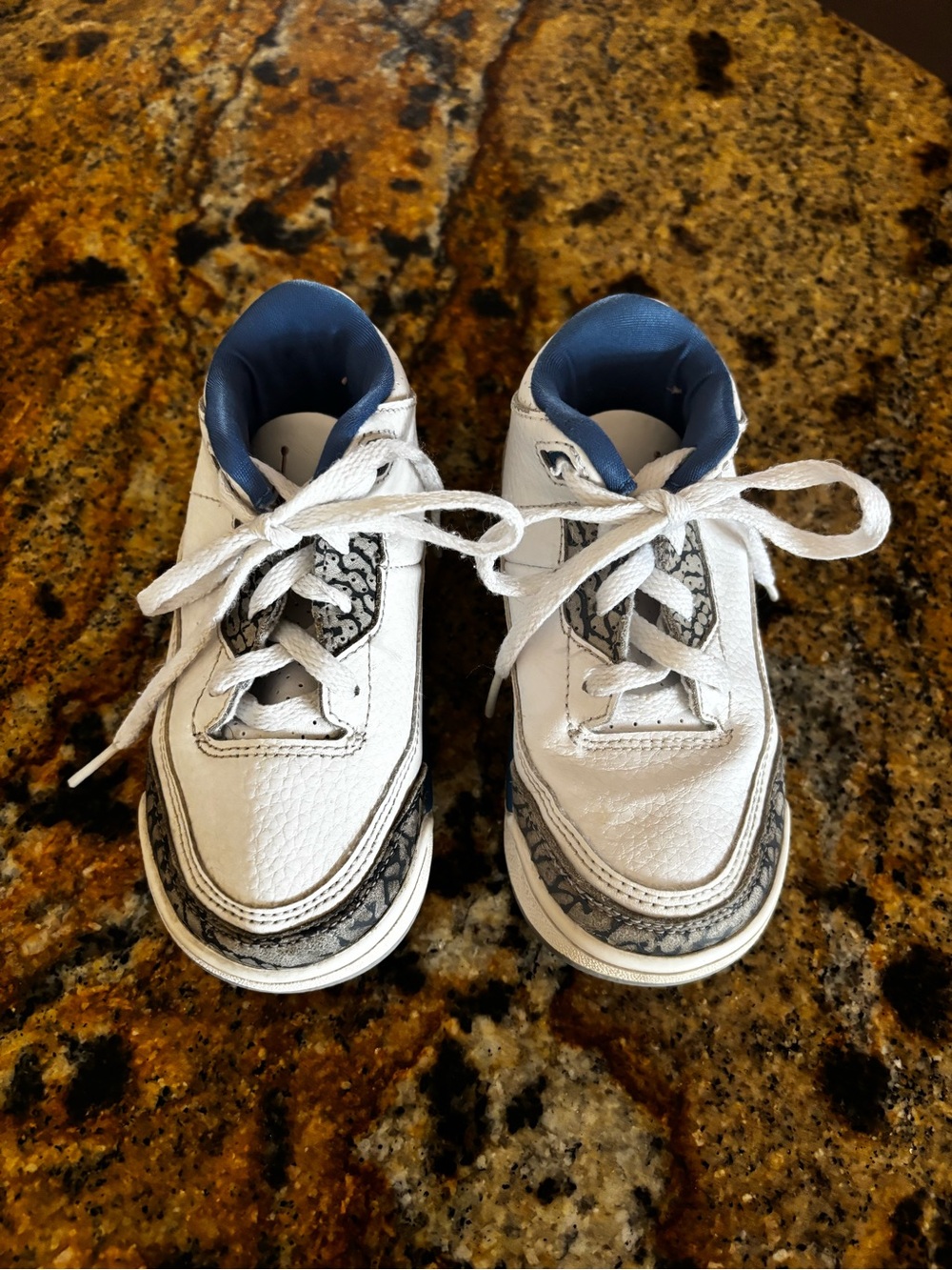 Nike Air Jordan Sneakers